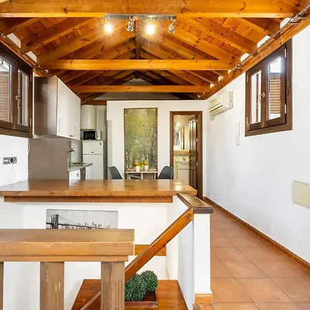 Gatu Buhardilla A Pies De La Alhambra Con Terraza Y Vistas Διαμέρισμα *